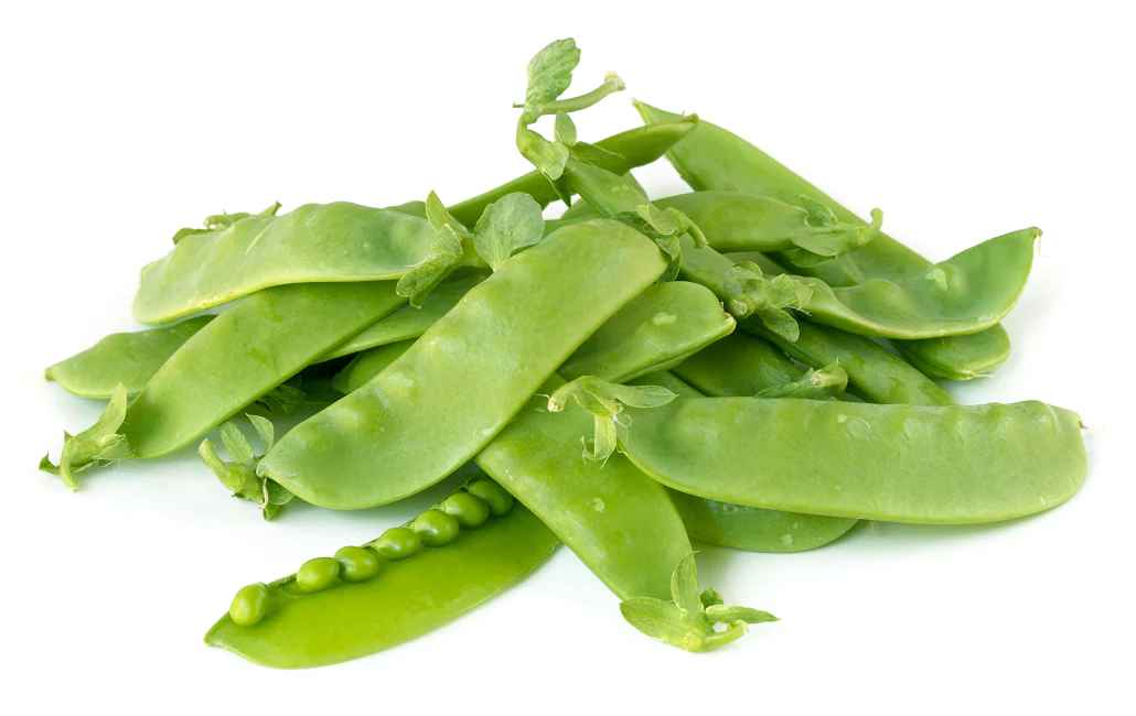 SNOW PEAS