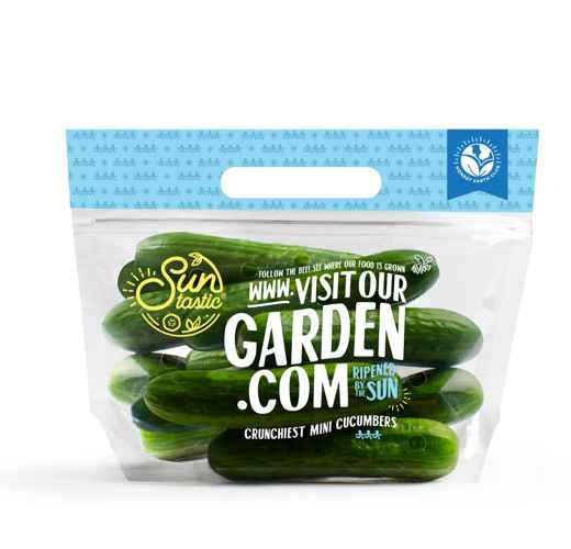 Mini Cucumbers  