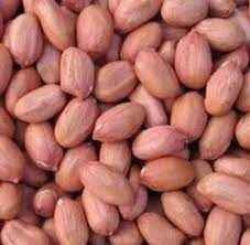 Khushboo Peanut Raw