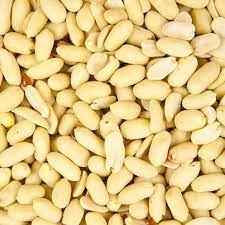 BLANCHED PEANUT