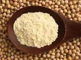 Adani Soya Flour
