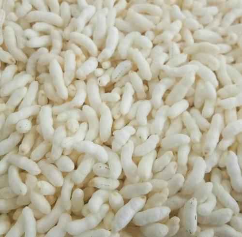 RAMDEV SURTI MAMRA