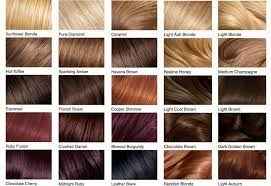 Hair Care Hair Color(Any)