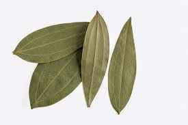 Adani Bay Leaves