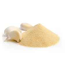 Adani Ginger Powder