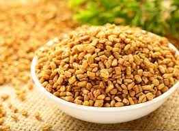 Adani Methi Seeds