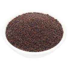 Adani Mustard Seeds Big