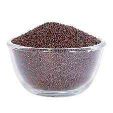 Adani Mustard Seeds Big