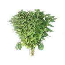 SOAP NEEM