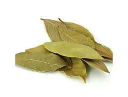 BAY LEAVES