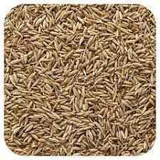 Durbar Cumin Seeds