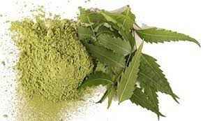 Adani Kadva Neem Powder