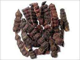 Herbicare Shikakai Whole
