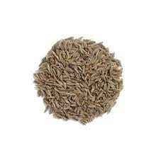 KB Cumin Seeds