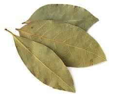 Krish Bay Leaf