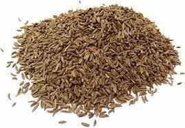 Krish Caraway Seed