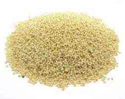 Krish Poppy Seed