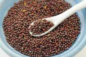 Laxmi Mustard Seed