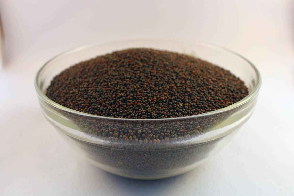 LX MUSTARD SEEDS SMALL