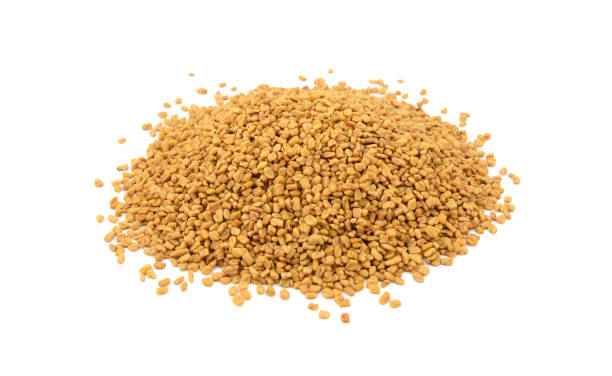 Nirav Methi Seeds