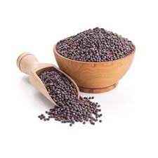 RAMDEV MUSTARD SEEDS