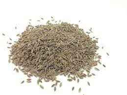 SW DILL SEED
