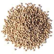 Supreme Coriander Whole