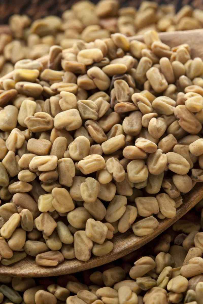 Swagat Methi Seeds