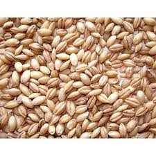 Balaji Haleem Wheat