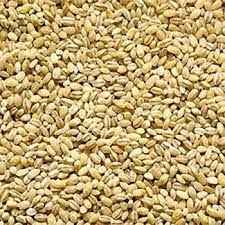 DESI BARLY POT