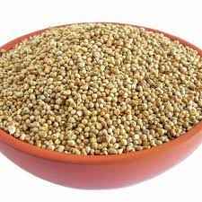 Himalayan Pearl Millet