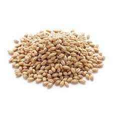 SW BARLEY WHOLE