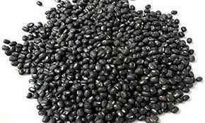 Parliament Organic Urad Sabut