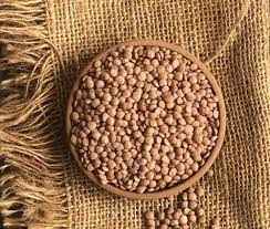 VT MASOOR INDIA