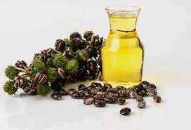 Diya Castor Oil