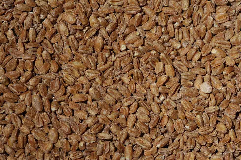 Mid East Dark Bulgur