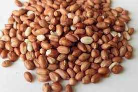 VT PEANUT RED