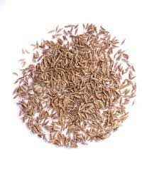DK Cumin Seeds