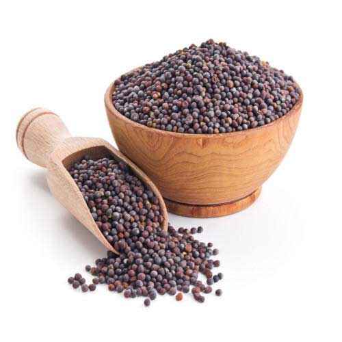 Dk Mustad Seeds