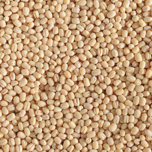 Swad Urad Whole Gota