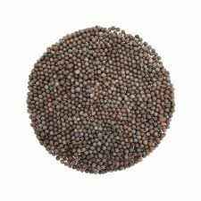 SH Mustard Seeds