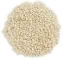 SESAME SEEDS