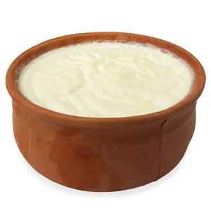 RAJBHOG YOGURT