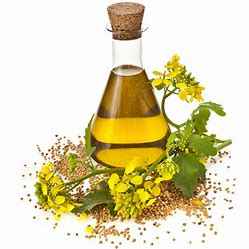 RandW CANOLA OIL