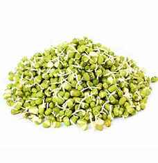Deep Frzv Sprout Moong