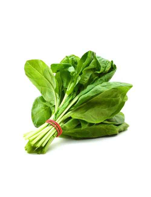 SPINACH