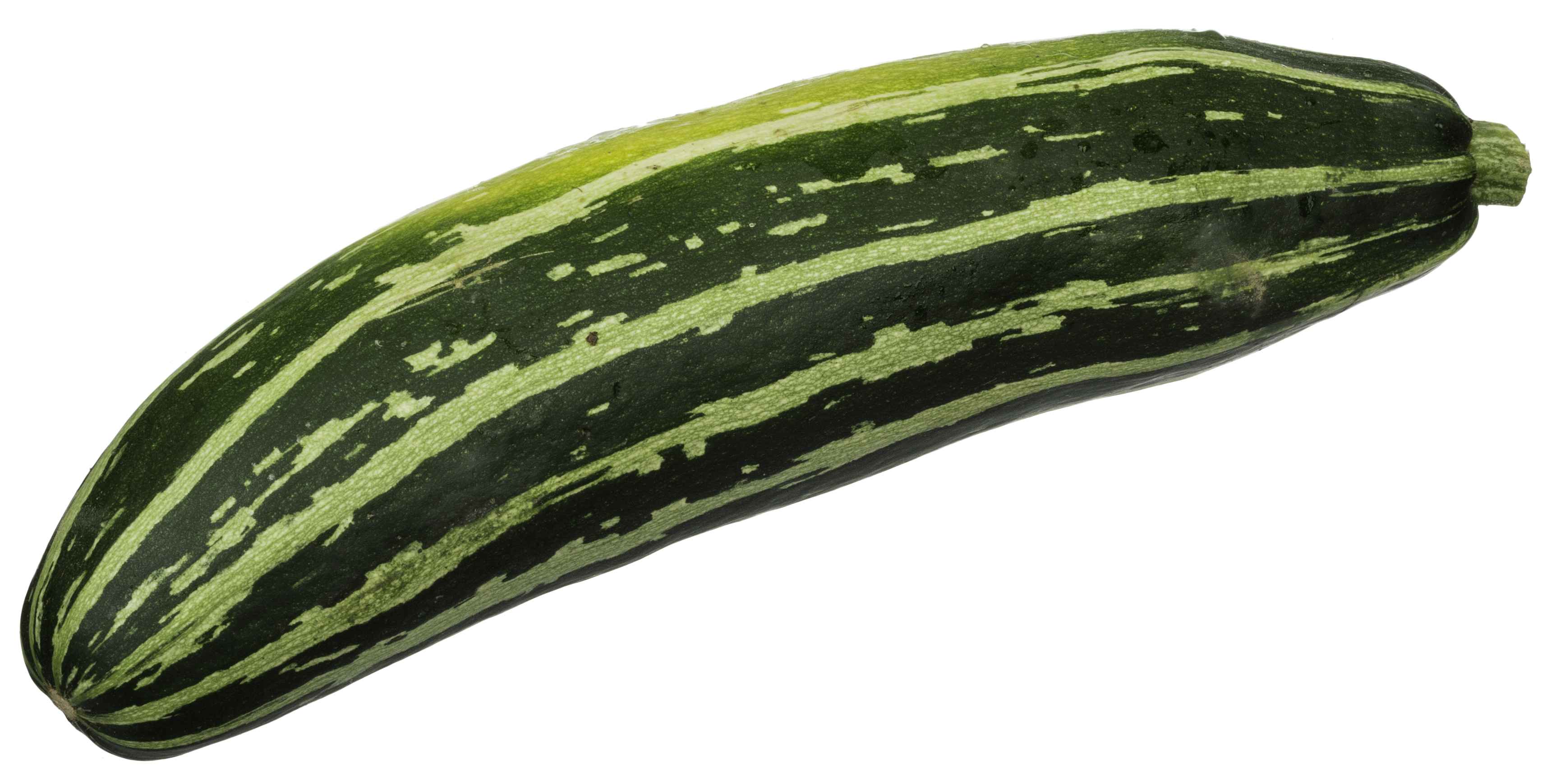 ZUCHINI