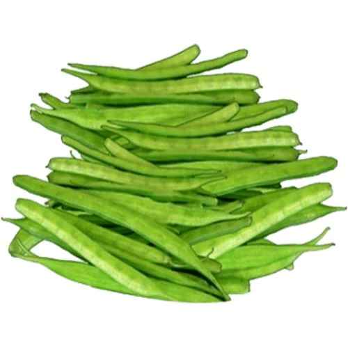 GUVAR