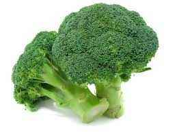 BROCCOLI BUNCH
