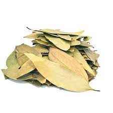 Laxmi Bay Leaf